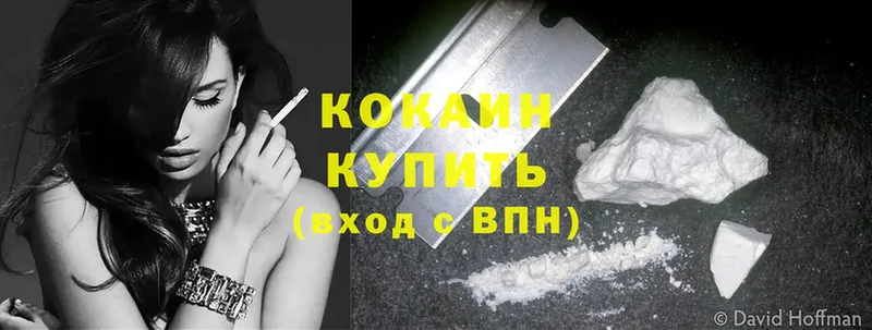 купить закладку  Жуковский  КОКАИН Fish Scale 