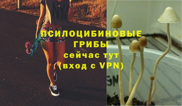 спайс Магадан