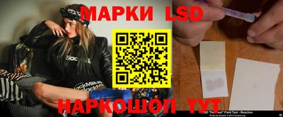дмт Гай