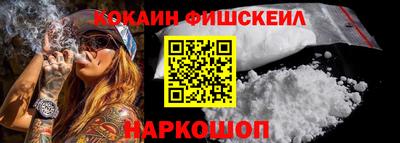 дмт Гай