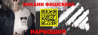 дмт Гай
