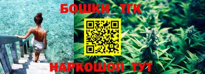 дмт Гай