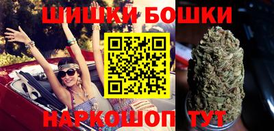 дмт Гай