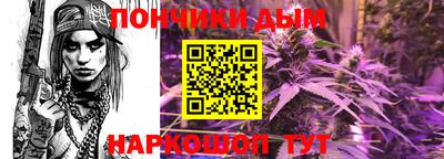 дмт Гай