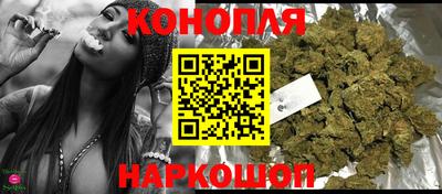 дмт Гай