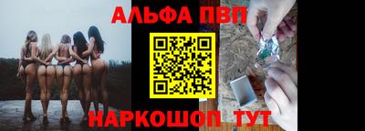 дмт Гай