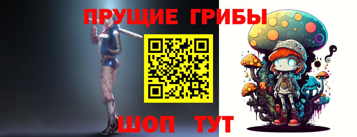 Жуковский  Галлюциногенные грибы GOLDEN TEACHER  Вход с VPN 